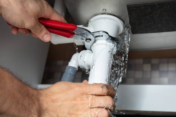 Best 24-hour water damage restoration  in Ladd, IL