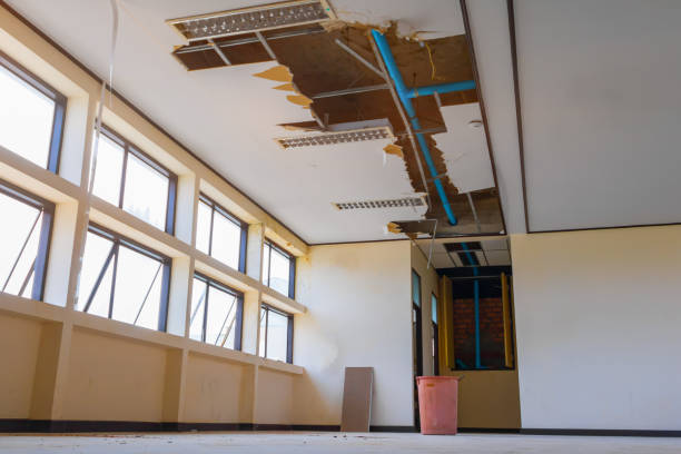 Water damage restoration process in Ladd, IL