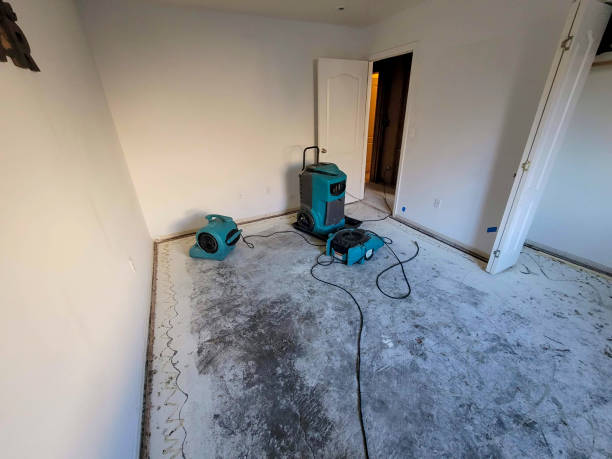 Sewage cleanup and water damage restoration in Ladd, IL