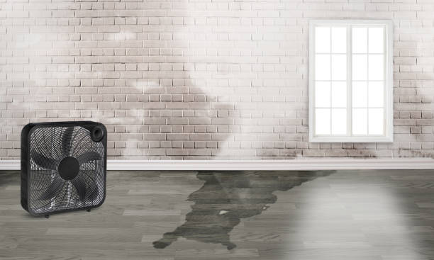 24/7 water damage repair in Ladd, IL