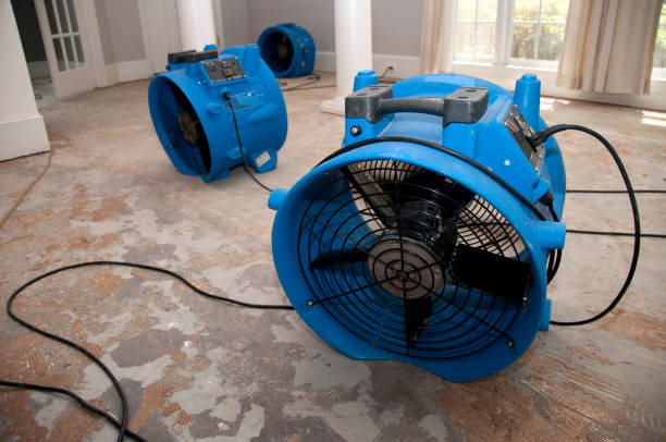 Best Water damage contractors near me  in Ladd, IL