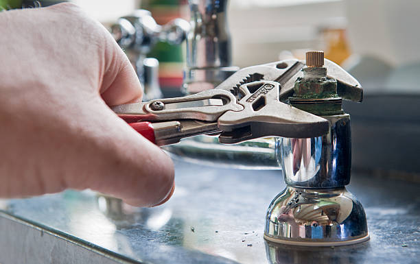 Best Mold removal after water damage  in Ladd, IL