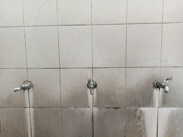 Best Ceiling water damage repair  in Ladd, IL