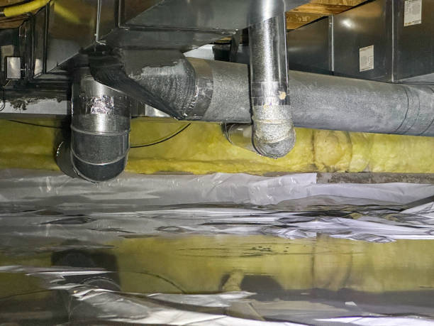 Best Basement water damage restoration  in Ladd, IL