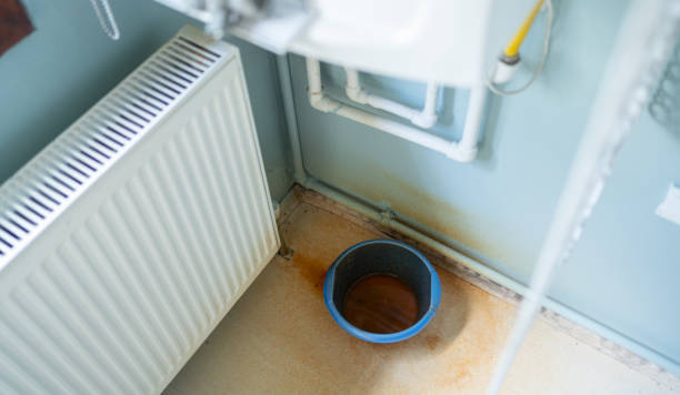 Best Water damage restoration near me  in Ladd, IL