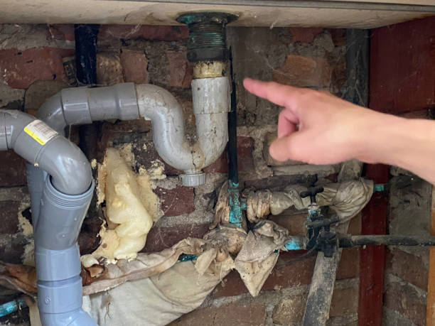 Best Flooded house restoration  in Ladd, IL