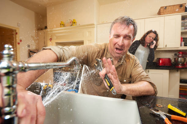 Reliable Ladd, IL Water damage restoration Solutions